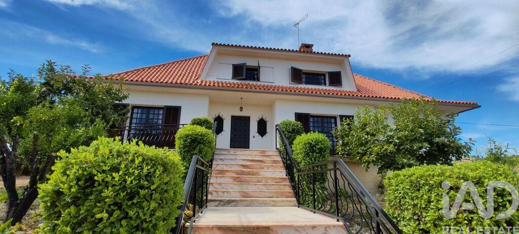 House in Proenca-A-Nova - Image 2