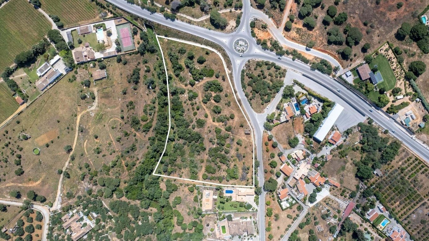 Land in Pereiras - Image 3