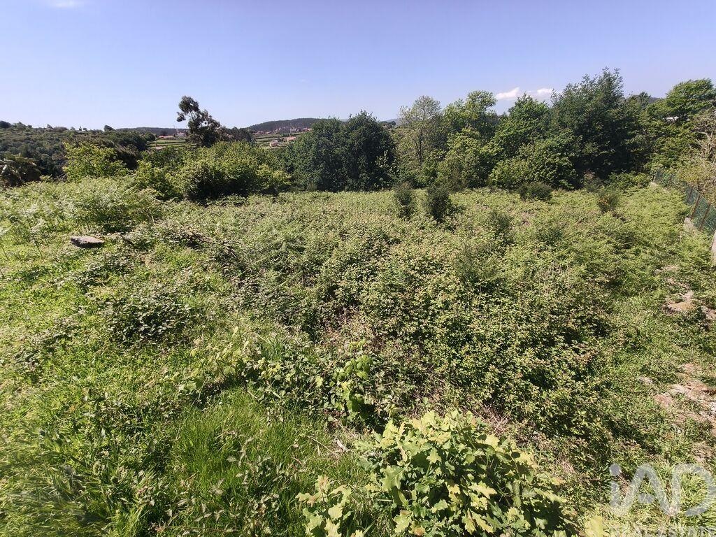 Land in Infesta - Image 2