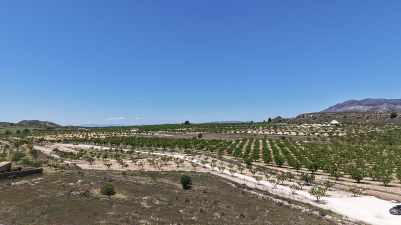 Land in Pinoso - view 1