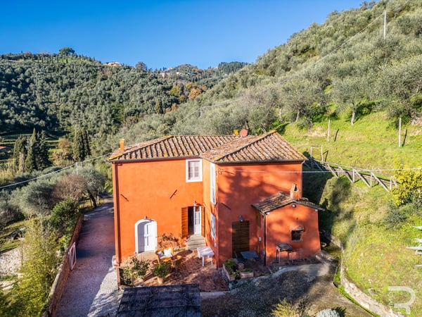 Villa in Massarosa - view 1