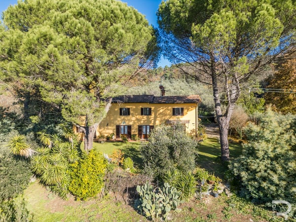 House in Monsummano Terme - view 1