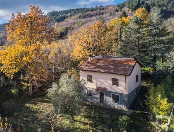 House in San Marcello Piteglio - view 1