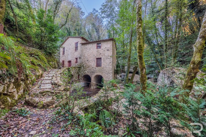House in Camaiore - view 1