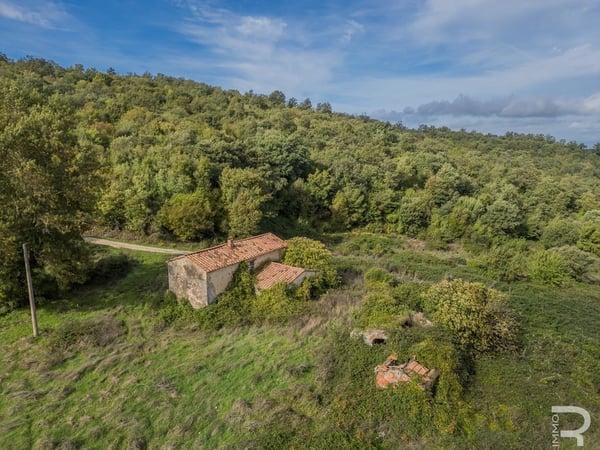 House in Scansano - view 1