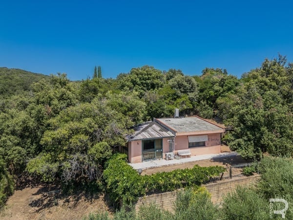 Villa in Follonica - view 1
