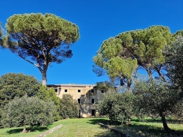 Villa in Castelnuovo Berardenga - view 1