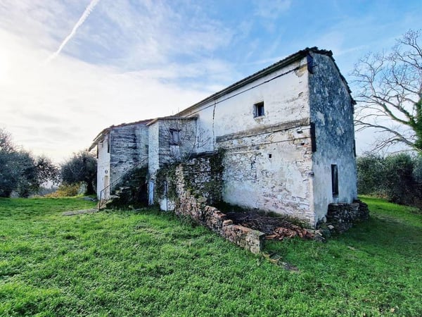 House in Palaia - view 1