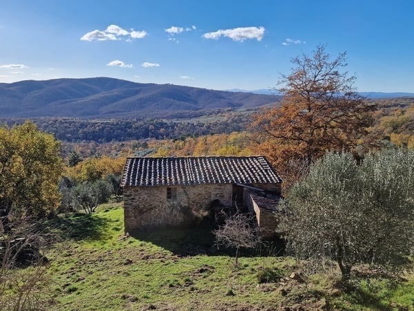 House in Monte San Savino - view 1