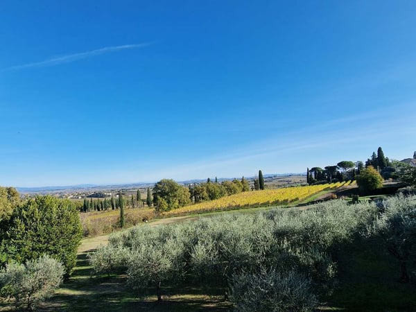 House in Montepulciano - view 1