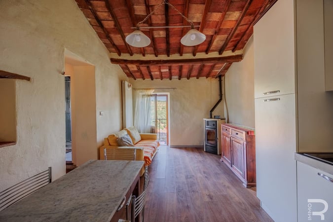 Apartment in Castelnuovo Berardenga - view 1