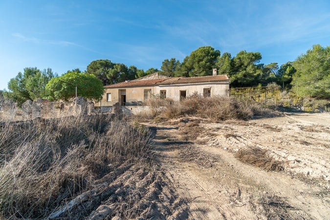 Farm, Ranch or Equestrian in El Pinar de Campoverde - view 1