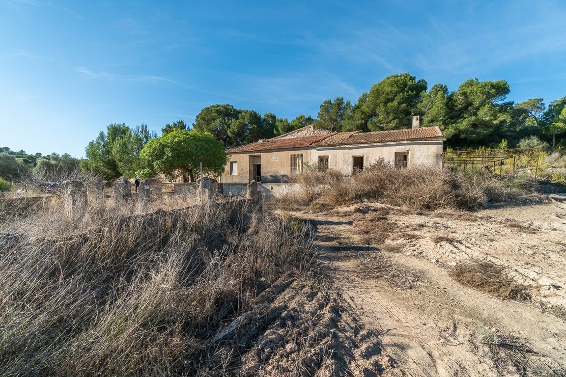 Farm, Ranch or Equestrian in El Pinar de Campoverde - Image 3