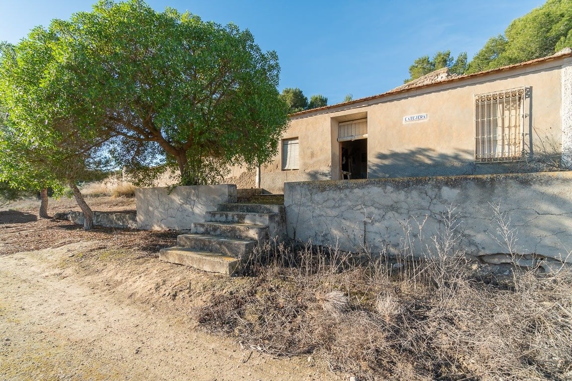 Farm, Ranch or Equestrian in El Pinar de Campoverde - Image 2