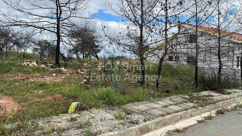 Land in Souni - view 1