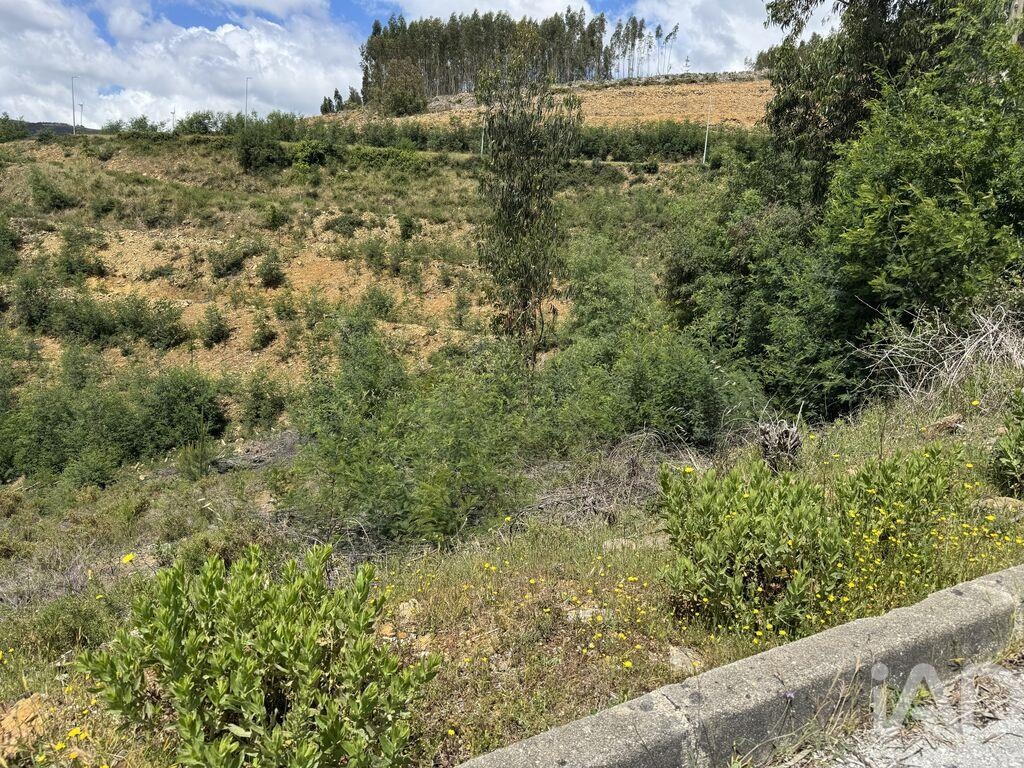 Land in Castanheira de Pera - Image 2