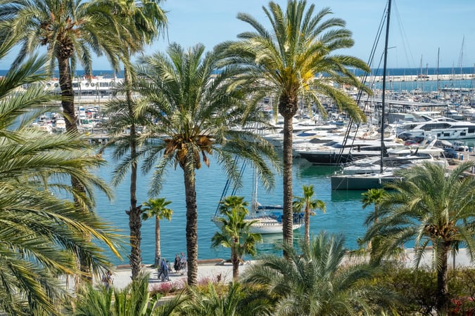Apartment in Alicante - view 1