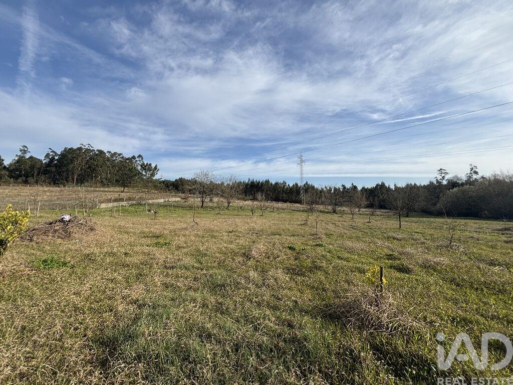 Land in Sao Martinho do Bispo - Image 2