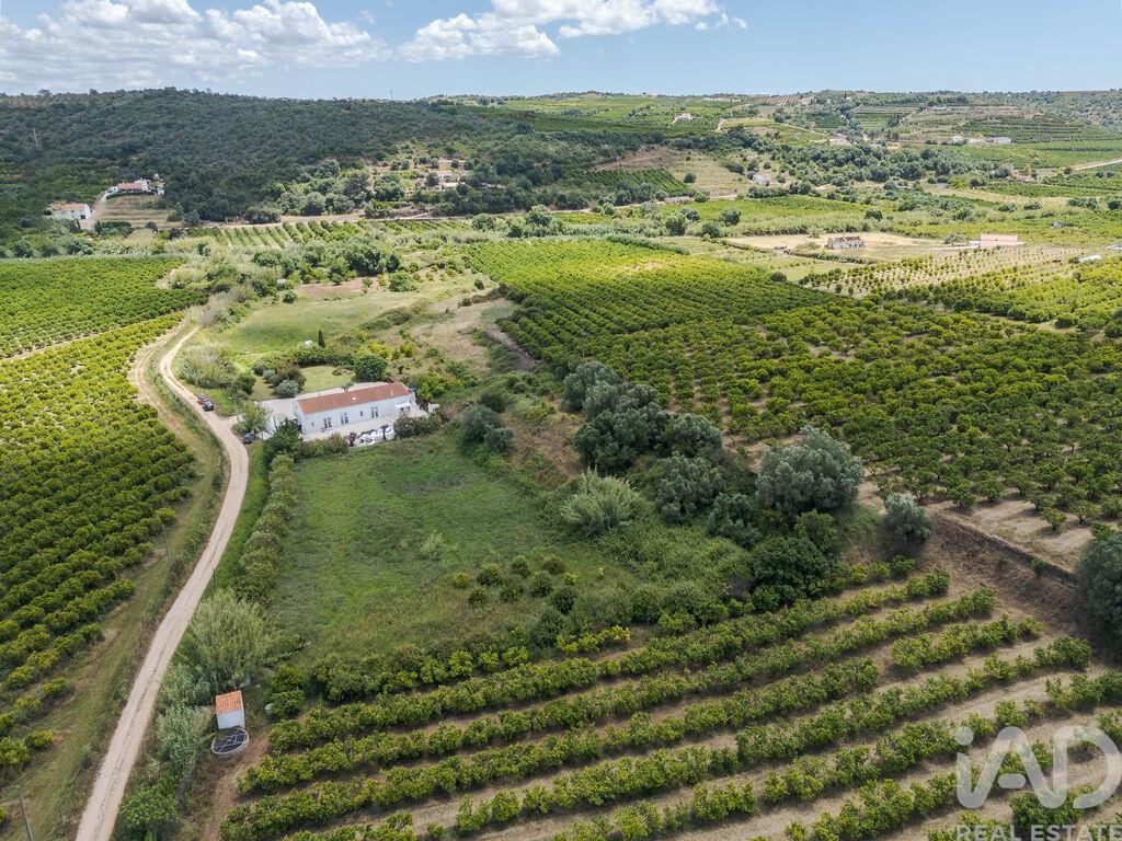 House in Silves - Image 2