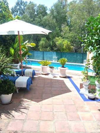 Villa in Nueva Andalucia - view 1