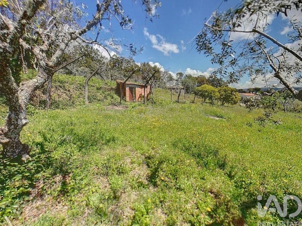 Land in Pedrogao Pequeno - view 1