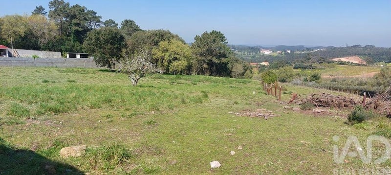 Land in Aljubarrota - view 1
