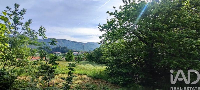 Land in Loivo - view 1