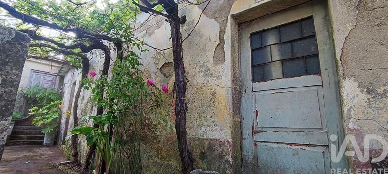 House in Loivo - view 1