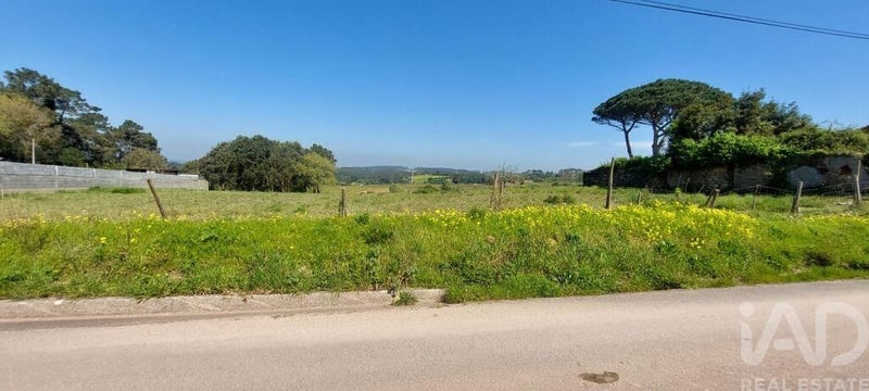 Land in Aljubarrota - view 1