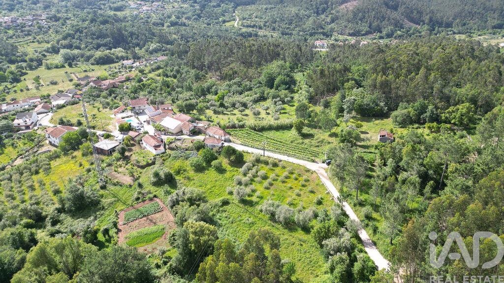 Land in Penela - Image 3