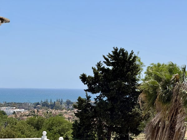 Villa in Nueva Andalucia - view 1