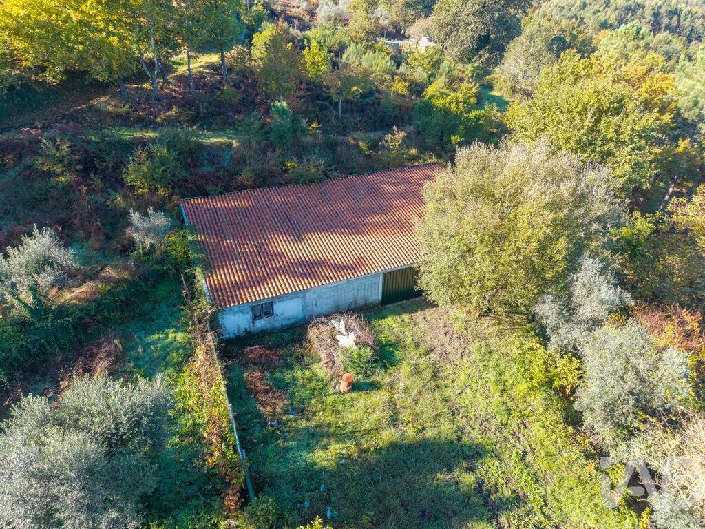 House in Lourosa - Image 3