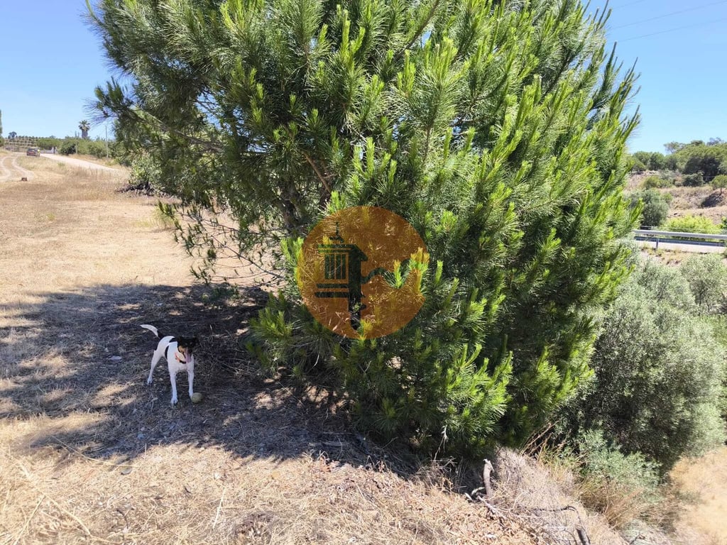 Land in Castro Marim - Image 3