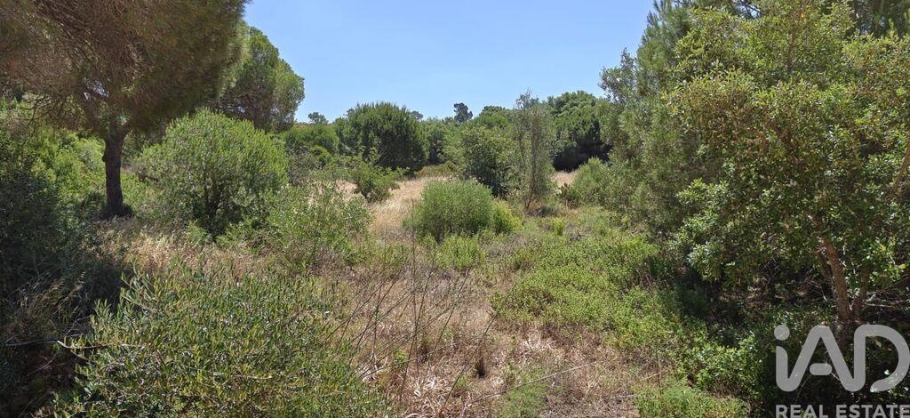 Land in Quarteira - Image 2