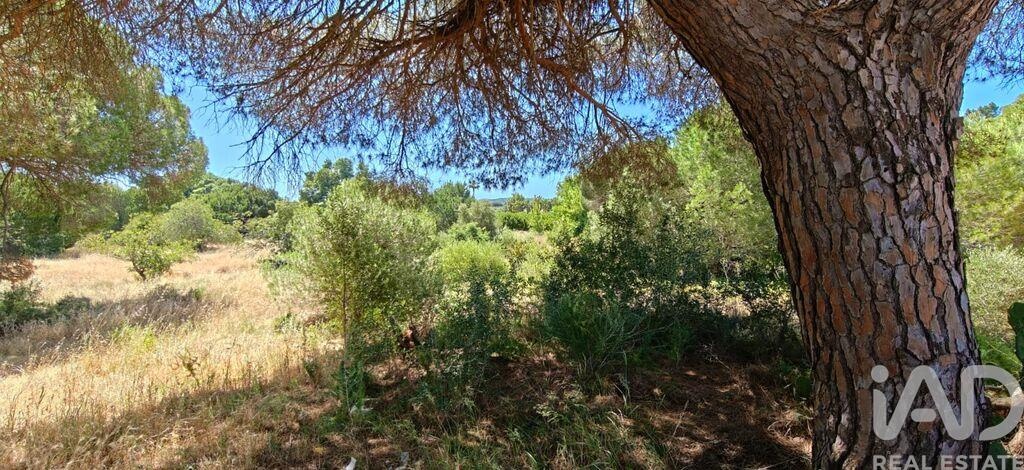Land in Quarteira - Image 3