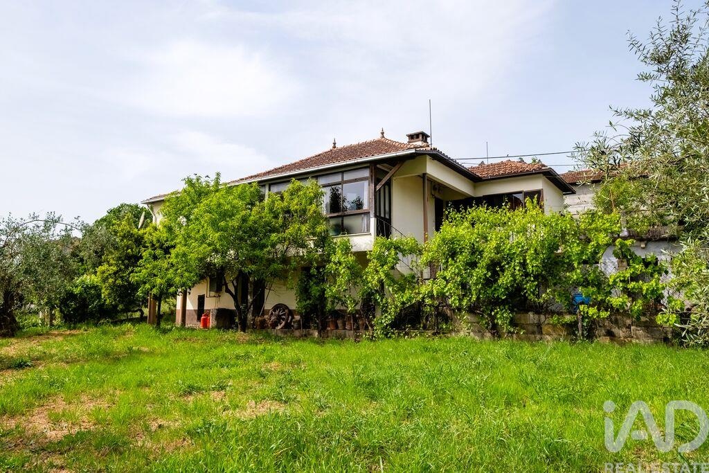 House in Penacova