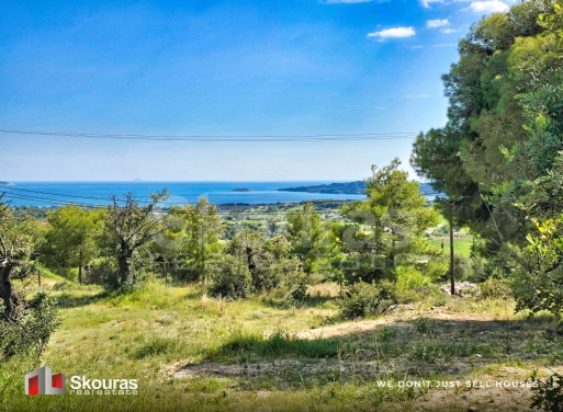 Land in Porto Cheli - Image 3