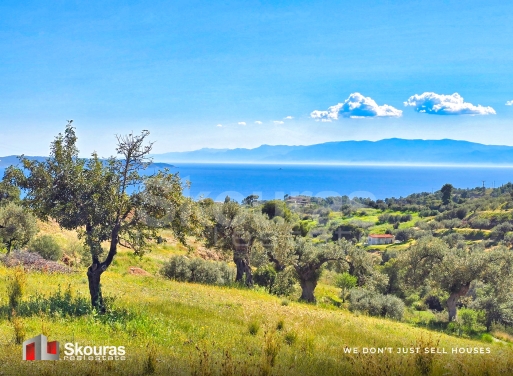 Land in Porto Cheli - Image 3