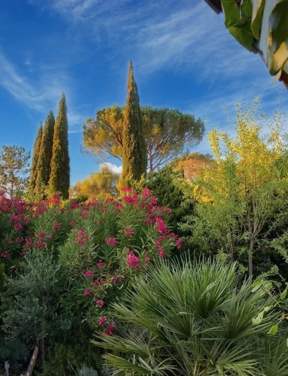 House in Saint-Antonin-du-Var - Image 2