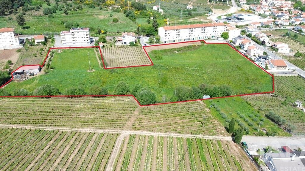 Land in Alijo - Image 2