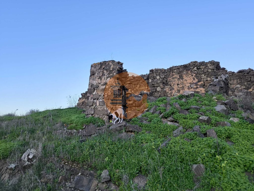 Land in Castro Marim - Image 2