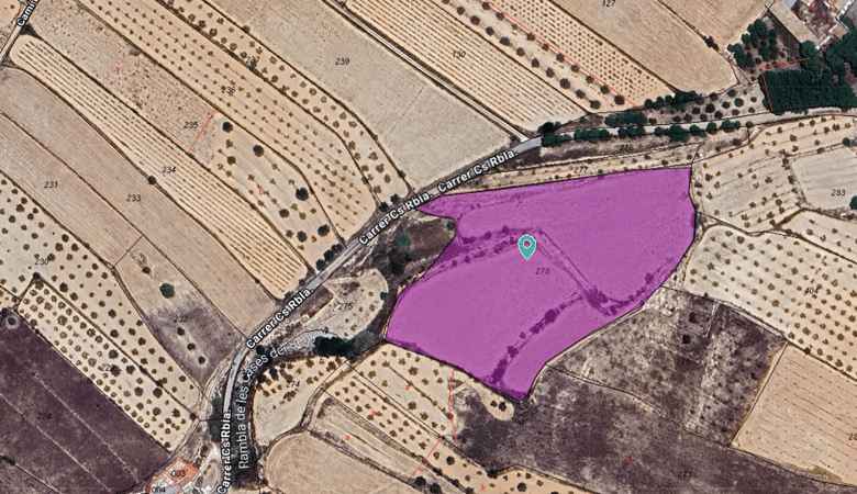 Land in Casas del Senor - view 1
