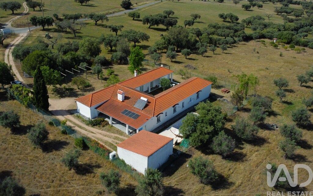 House in Crato - Image 3