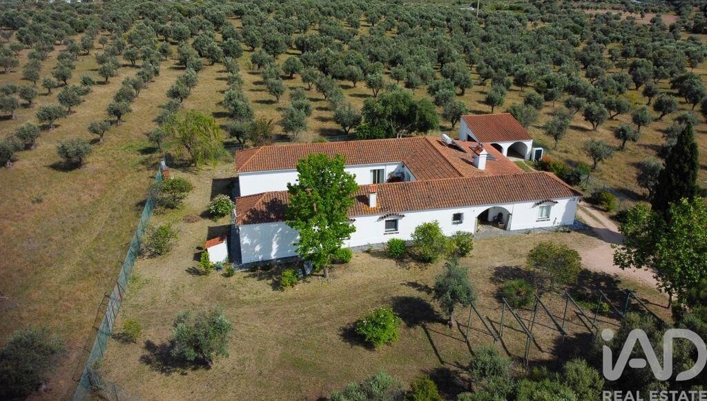 House in Crato - Image 2