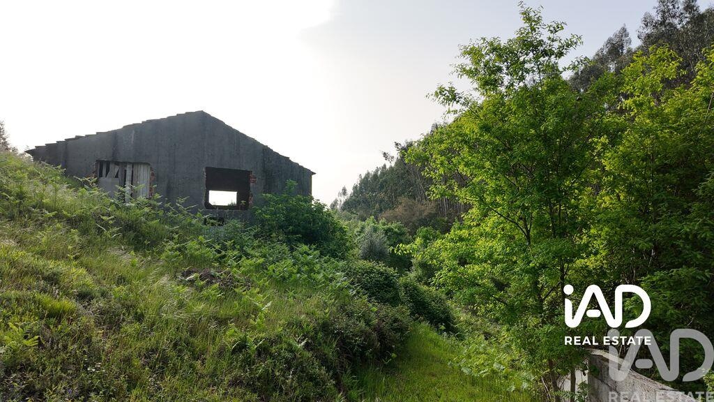 House in Graca - Image 3