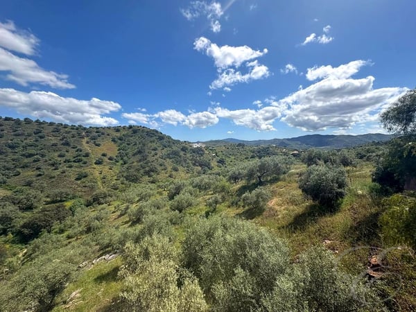 Land in Riogordo - view 1