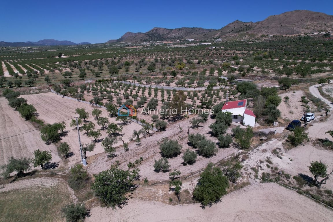 House in Oria - Image 3