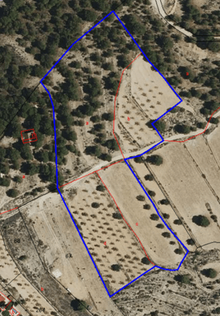 Land in Hondon - view 1