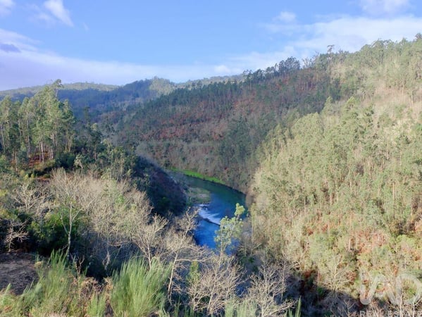 House in Sao Joao da Serra - view 1