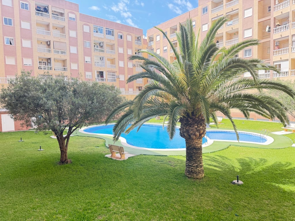 Apartment in Torrevieja - Image 2